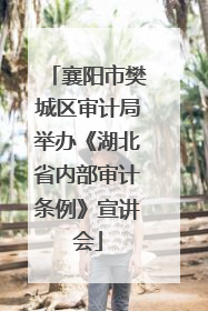 襄阳市樊城区审计局举办《湖北省内部审计条例》宣讲会
