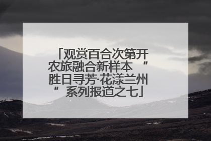 观赏百合次第开 农旅融合新样本 “胜日寻芳·花漾兰州”系列报道之七