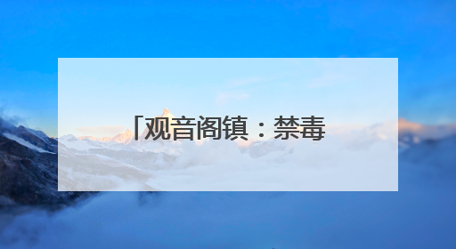观音阁镇：禁毒宣传面对面 安全防范驻心间