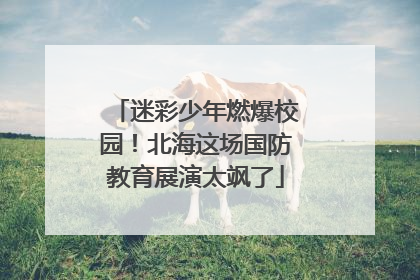 迷彩少年燃爆校园！北海这场国防教育展演太飒了