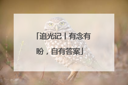 追光记丨有念有盼，自有答案