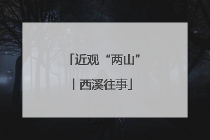 近观“两山”丨西溪往事