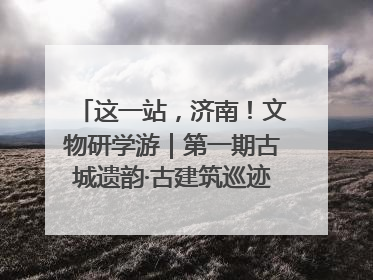 这一站，济南！文物研学游｜第一期古城遗韵·古建筑巡迹之旅圆满结束