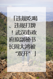 违规吃喝、违规打牌！武汉市政府原副秘书长周大鸿被“双开”