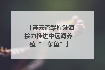 连云港赣榆陆海接力推进中远海养殖“一条鱼”