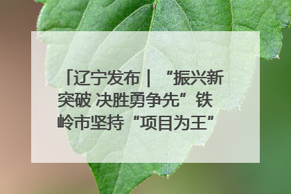辽宁发布｜“振兴新突破 决胜勇争先”铁岭市坚持“项目为王”推进经济高质量发展
