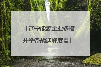 辽宁能源企业多措并举备战迎峰度夏