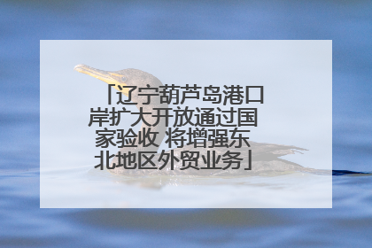 辽宁葫芦岛港口岸扩大开放通过国家验收 将增强东北地区外贸业务