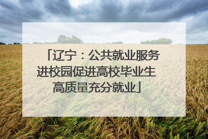 辽宁：公共就业服务进校园促进高校毕业生高质量充分就业