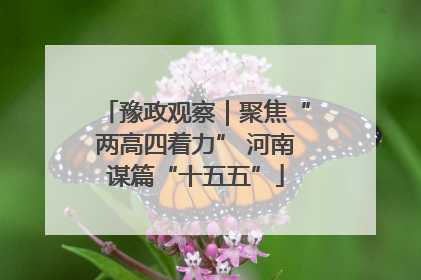 豫政观察｜聚焦“两高四着力” 河南谋篇“十五五”