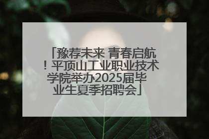 豫荐未来 青春启航！平顶山工业职业技术学院举办2025届毕业生夏季招聘会