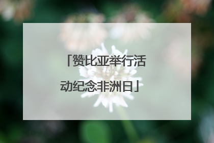 赞比亚举行活动纪念非洲日