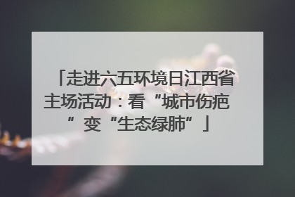 走进六五环境日江西省主场活动：看“城市伤疤”变“生态绿肺”