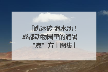 趴冰砖 泡水池！成都动物园里的消暑“凉”方丨图集