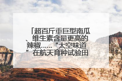 超百斤重巨型南瓜、维生素含量更高的辣椒……“太空味道”在航天育种试验田里拔节生长