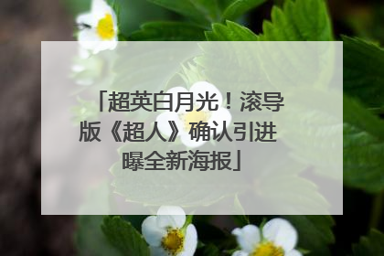 超英白月光！滚导版《超人》确认引进 曝全新海报