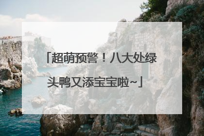 超萌预警！八大处绿头鸭又添宝宝啦~