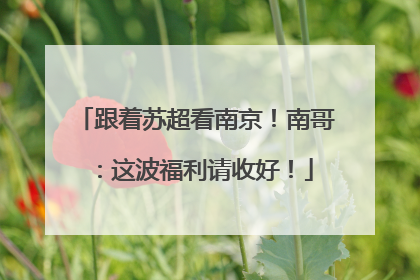 跟着苏超看南京！南哥：这波福利请收好！