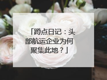 蹲点日记：头部航运企业为何聚集此地？