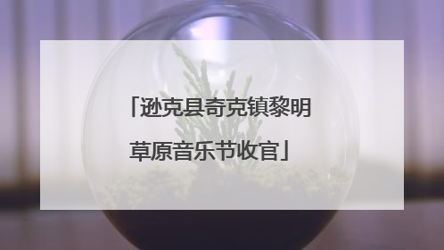 逊克县奇克镇黎明草原音乐节收官