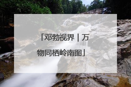 邓勃视界｜万物同栖岭南图