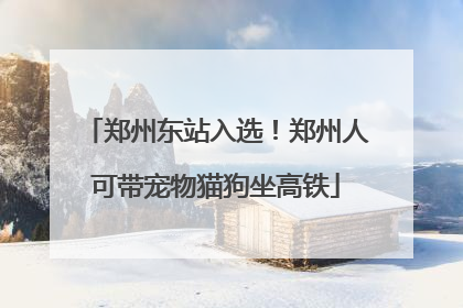 郑州东站入选！郑州人可带宠物猫狗坐高铁