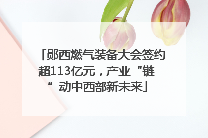 郧西燃气装备大会签约超113亿元，产业“链”动中西部新未来