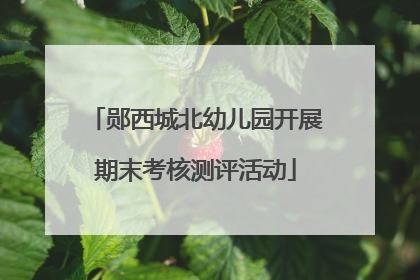 郧西城北幼儿园开展期末考核测评活动
