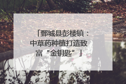 鄄城县彭楼镇：中草药种植打造致富“金钥匙”