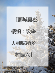 鄄城县彭楼镇：设施大棚赋能乡村振兴