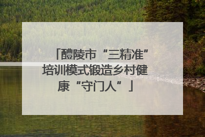 醴陵市“三精准”培训模式锻造乡村健康“守门人”