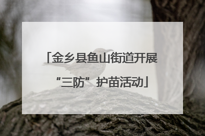 金乡县鱼山街道开展“三防”护苗活动