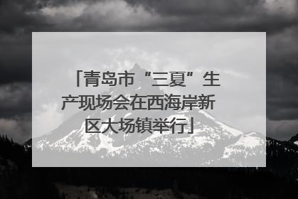 青岛市“三夏”生产现场会在西海岸新区大场镇举行