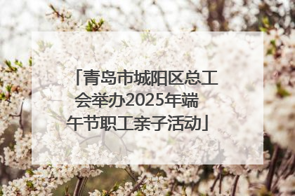 青岛市城阳区总工会举办2025年端午节职工亲子活动