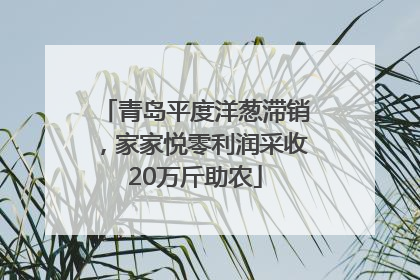 青岛平度洋葱滞销，家家悦零利润采收20万斤助农