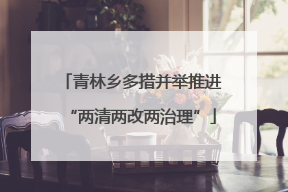 青林乡多措并举推进“两清两改两治理”