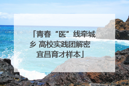 青春“医”线牵城乡 高校实践团解密宜昌育才样本