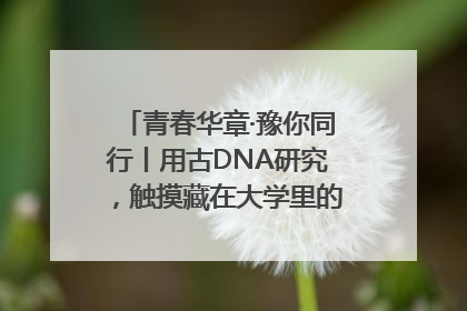 青春华章·豫你同行丨用古DNA研究，触摸藏在大学里的“上下五千年”