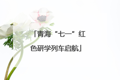 青海“七一”红色研学列车启航