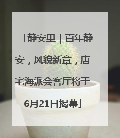 静安里｜百年静安，风貌新章，唐宅海派会客厅将于6月21日揭幕
