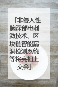 非侵入性脑深部电刺激技术、区块链智能漏洞检测系统等将亮相上交会
