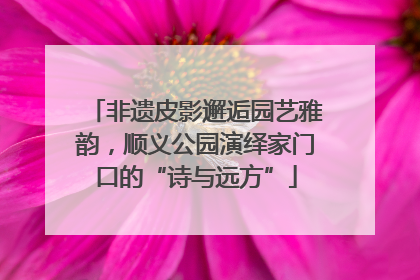 非遗皮影邂逅园艺雅韵，顺义公园演绎家门口的“诗与远方”