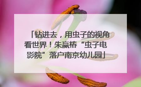 钻进去，用虫子的视角看世界！朱赢椿“虫子电影院”落户南京幼儿园