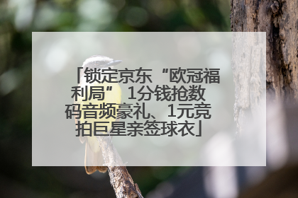 锁定京东“欧冠福利局” 1分钱抢数码音频豪礼、1元竞拍巨星亲签球衣