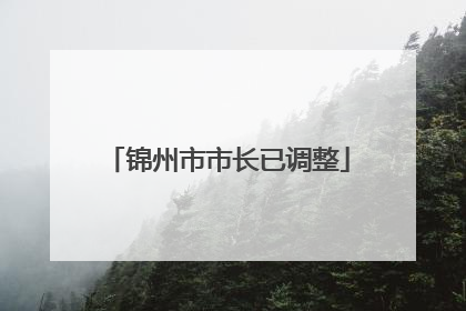 锦州市市长已调整