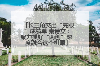 长三角交出“亮眼”成绩单 秦诗立：聚力抓好“两创”深度融合这个棋眼