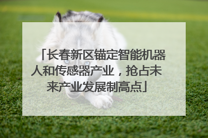 长春新区锚定智能机器人和传感器产业，抢占未来产业发展制高点