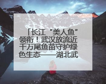 长江“美人鱼”领衔！武汉放流近千万尾鱼苗守护绿色生态——湖北武汉青鱼原种场参加2025年“全国放鱼日”增殖放流活动