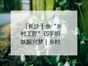 长沙千余“乡村工匠”巧手织就振兴梦｜乡村行·看振兴