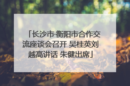 长沙市·衡阳市合作交流座谈会召开 吴桂英刘越高讲话 朱健出席